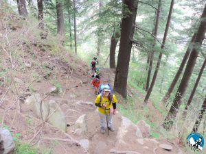 Jalsu Pass Trek