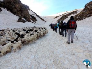 Jalsu Pass Trek