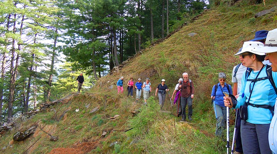 himalayan walk tour, day hike tours dharamsaala